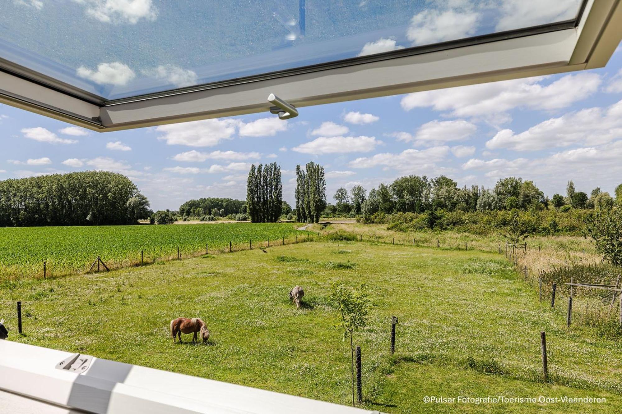 Op 'T Roth Villa Oudenaarde Dış mekan fotoğraf