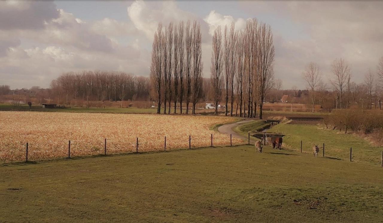 Op 'T Roth Villa Oudenaarde Dış mekan fotoğraf